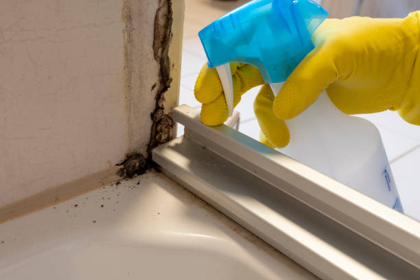 Best Crawl Space Mold Removal  in Seagoville, TX