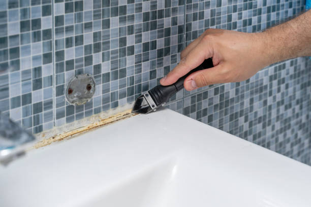 Best Fast Mold Removal  in Seagoville, TX