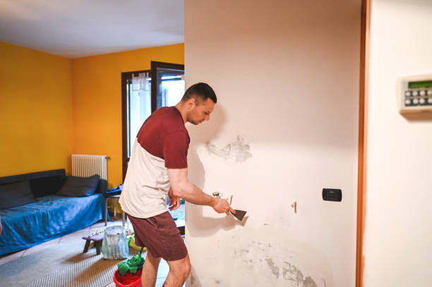 Professional Mold Removal in Seagoville, TX