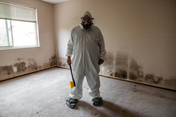 Best Fast Mold Removal  in Seagoville, TX